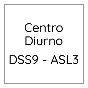 DSS9