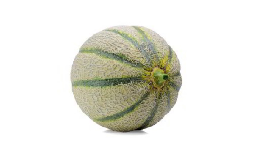 Melone retato Italia