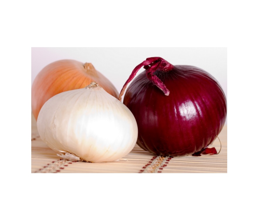 CIPOLLE DORATA ITALIA GR. 750