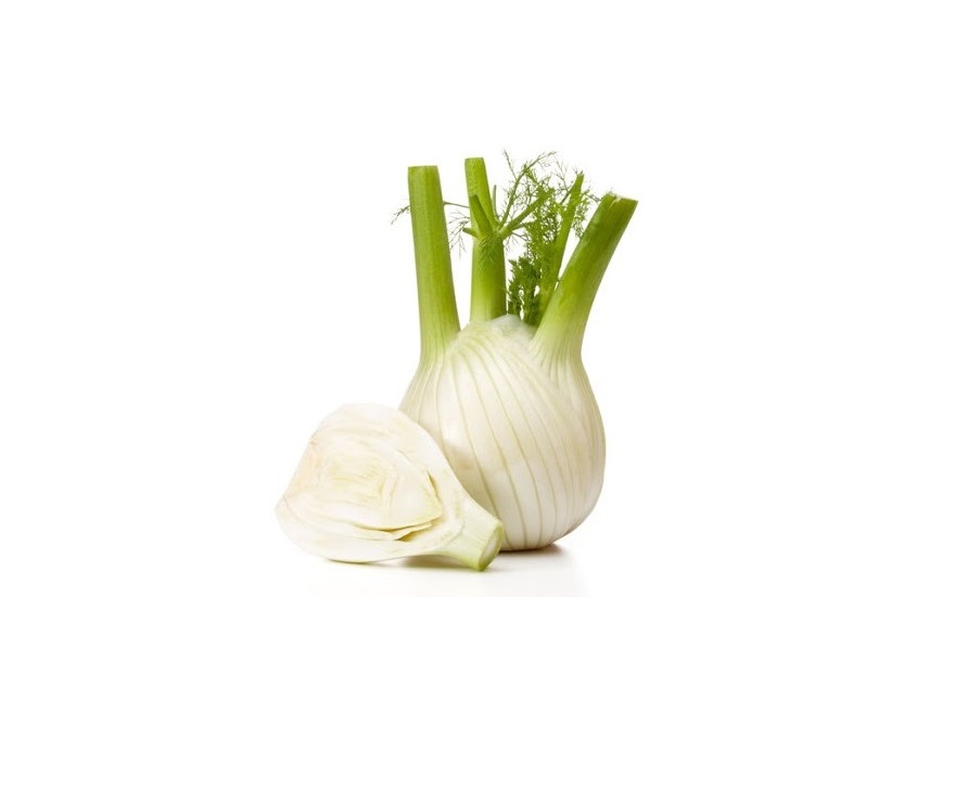 FINOCCHI