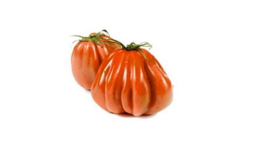POMODORI cuore di bue (italia)