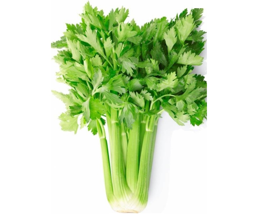 SEDANO 750 GR.
