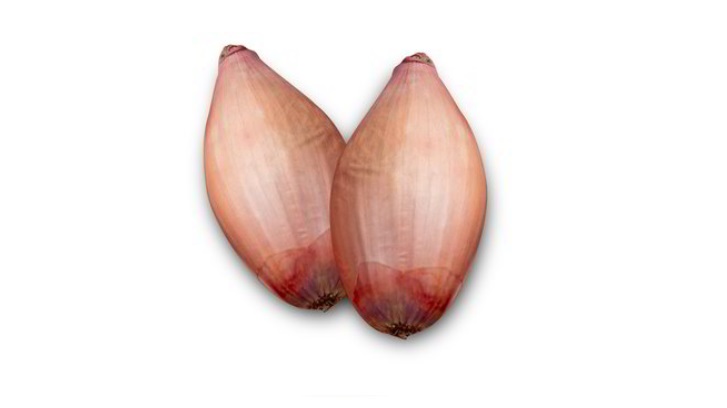 SCALOGNO TRECCE ITALIA GR 500